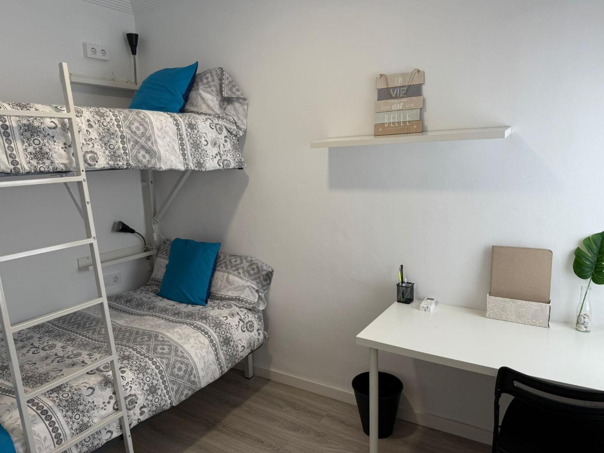 Apartment Vega